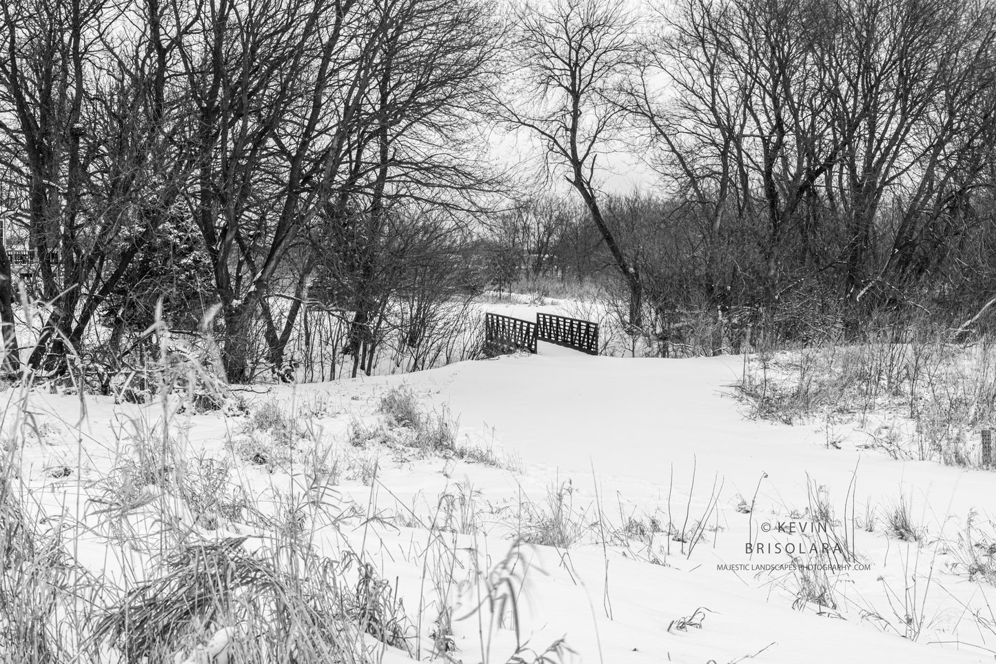 HOLIDAY GREETING CARDS 686-3490  SNOW, BRIDGE, B0X ELDER TREES