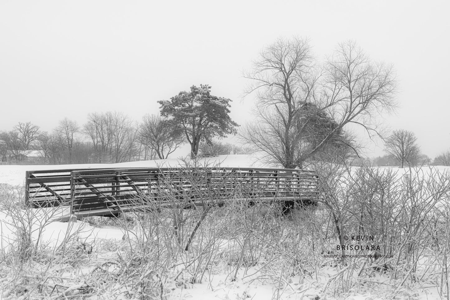 HOLIDAY GREETING CARDS 684-3378 SNOW, BRIDGE, PEACHLEAF WILLOW TREE, ELDERBERRY BUSHES
