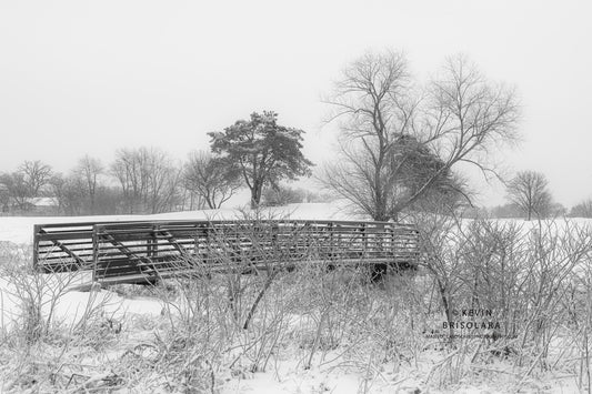 HOLIDAY GREETING CARDS 684-3378  SNOW, BRIDGE, PEACHLEAF WILLOW TREE, ELDERBERRY BUSHES