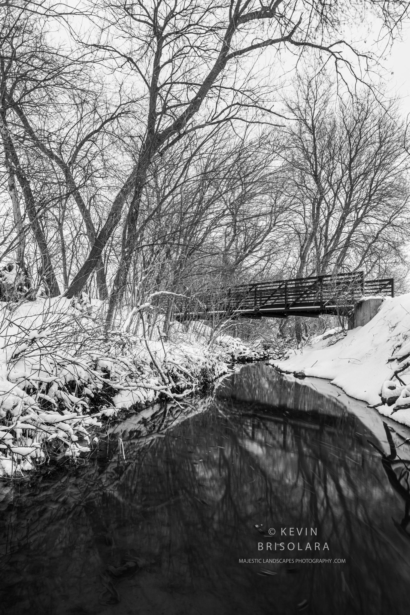 HOLIDAY GREETING CARDS 686-3482 SNOW, REFLECTIONS, BRIDGE, B0X ELDER TREES, EAKIN CREEK WEST