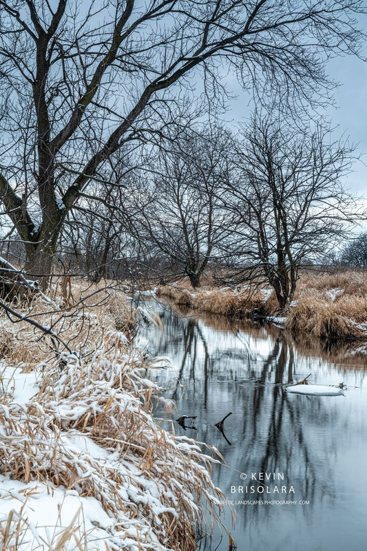 REFLECTIONS FROM A WINTER MORNING