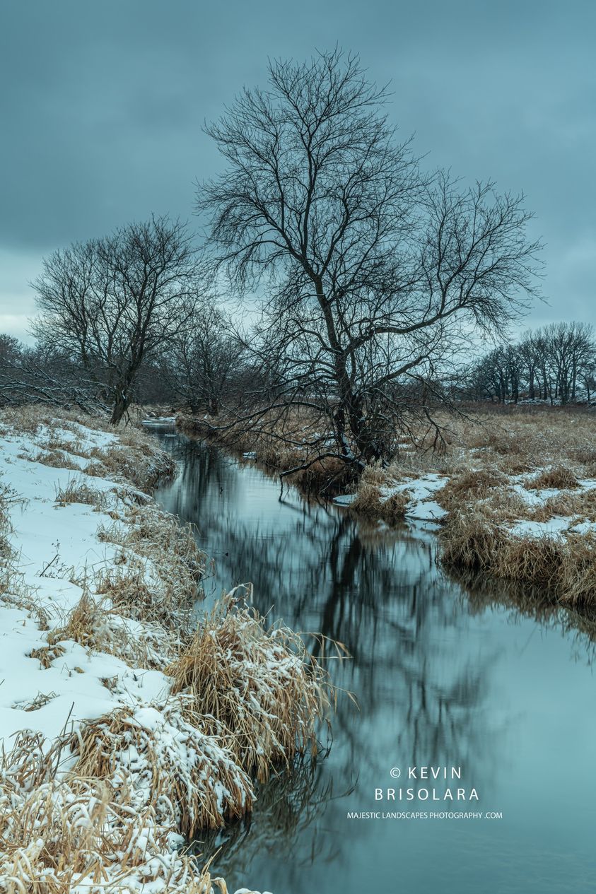 AN AFTERNOON WALK ALONG THE CREEK