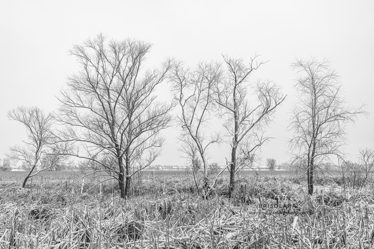 A WINTER SCENE FROM THE PRAIRIE