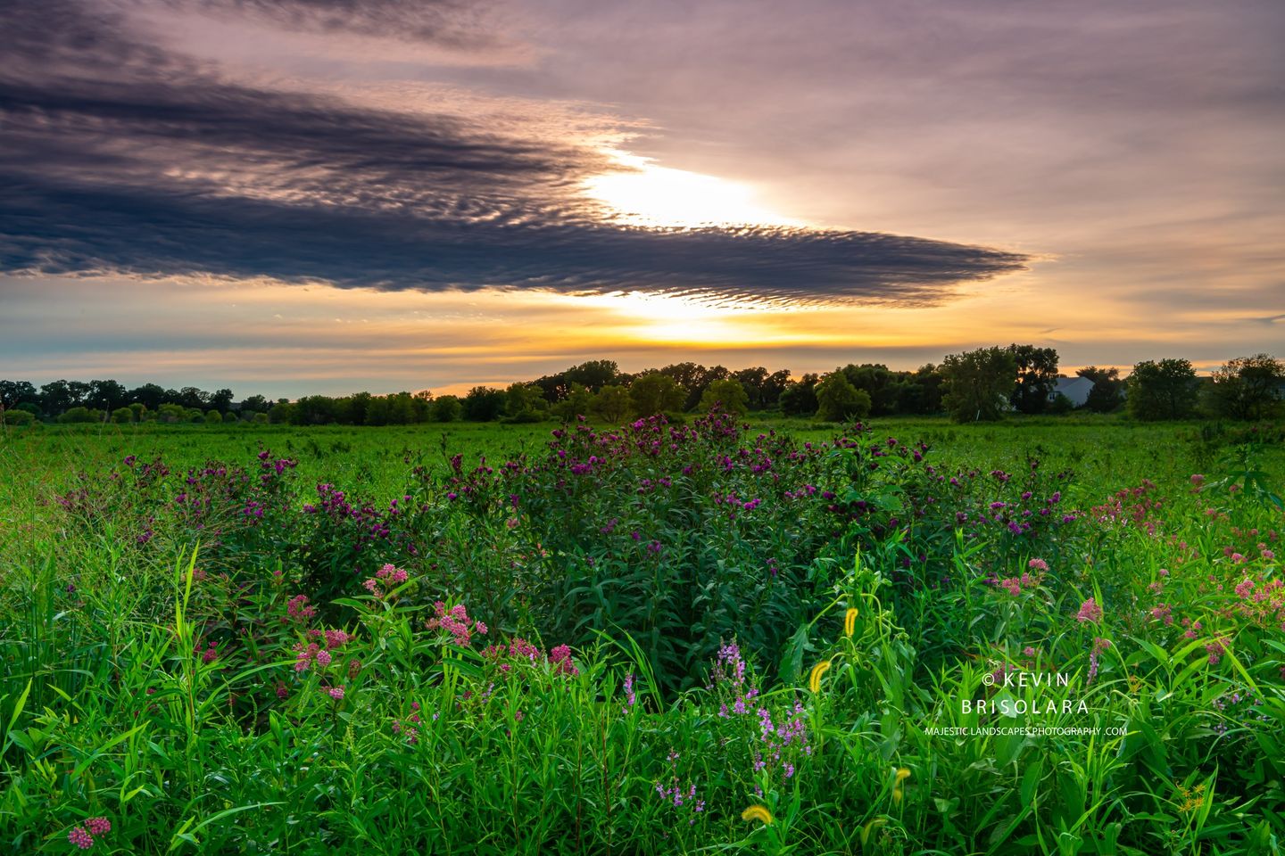 A WILDFLOWER PRAIRIE SUNSET