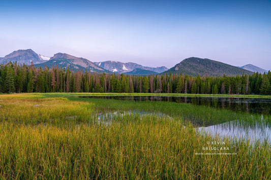 ANTICIPATING A BEAUTIFUL MORNING