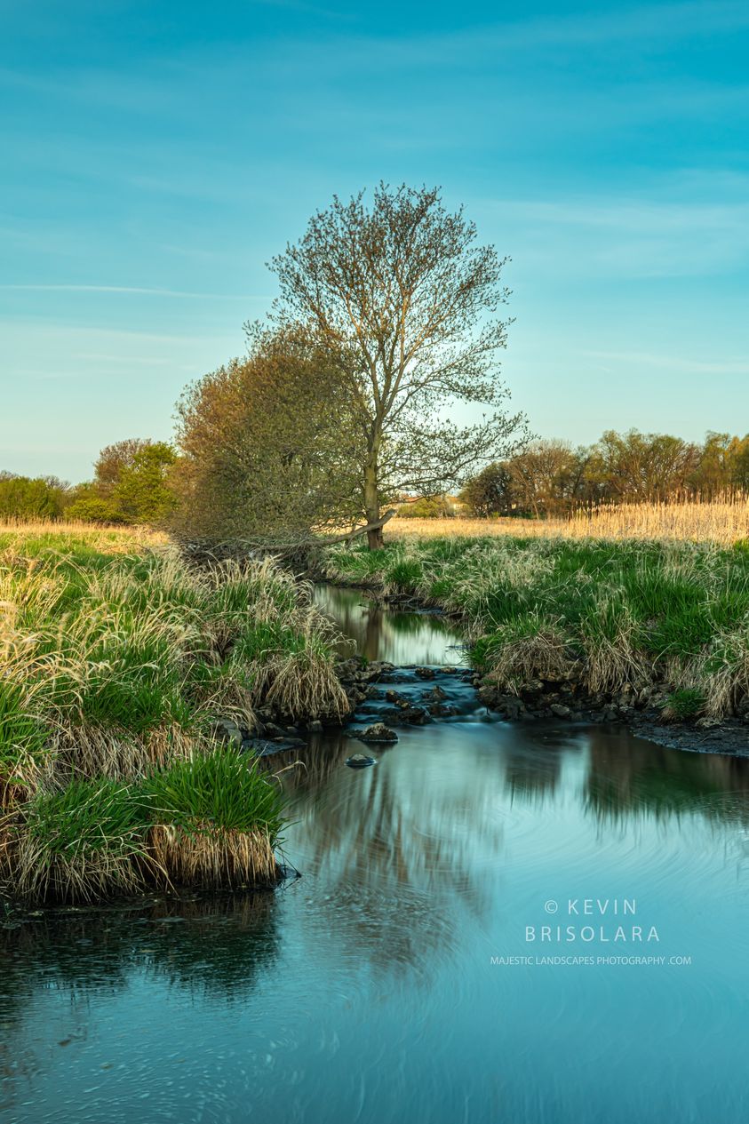 A PEACEFUL WALK ALONG THE CREEK