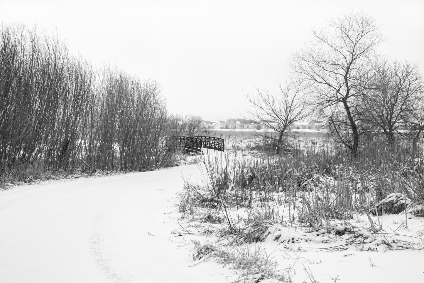 A WALK THROUGH THE PARK