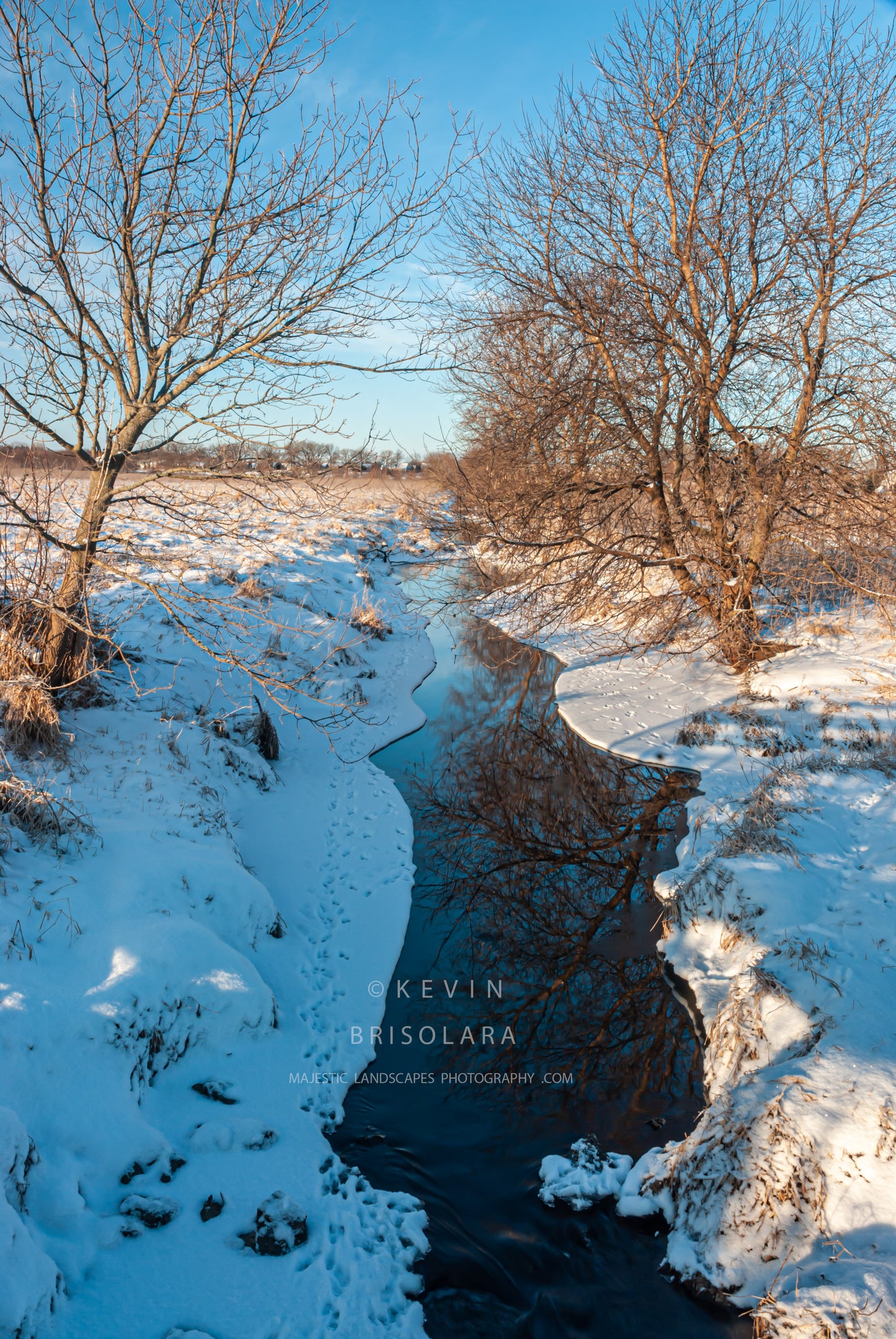 WINTER REFLECTIONS
