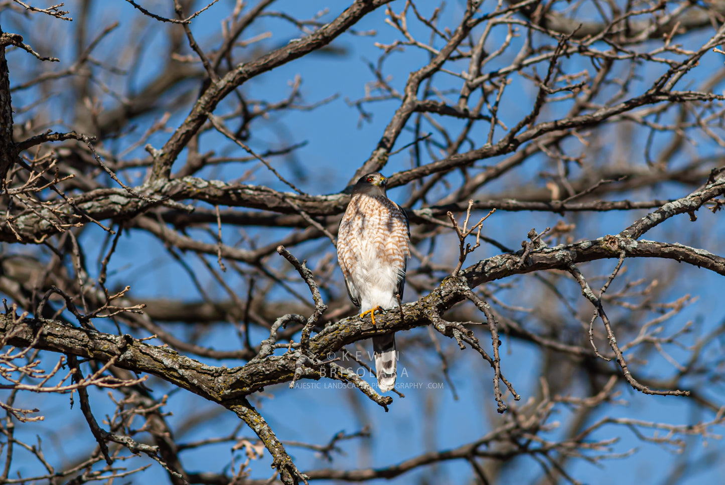 SURVEYING THE SURROUNDING LANDSCAPE