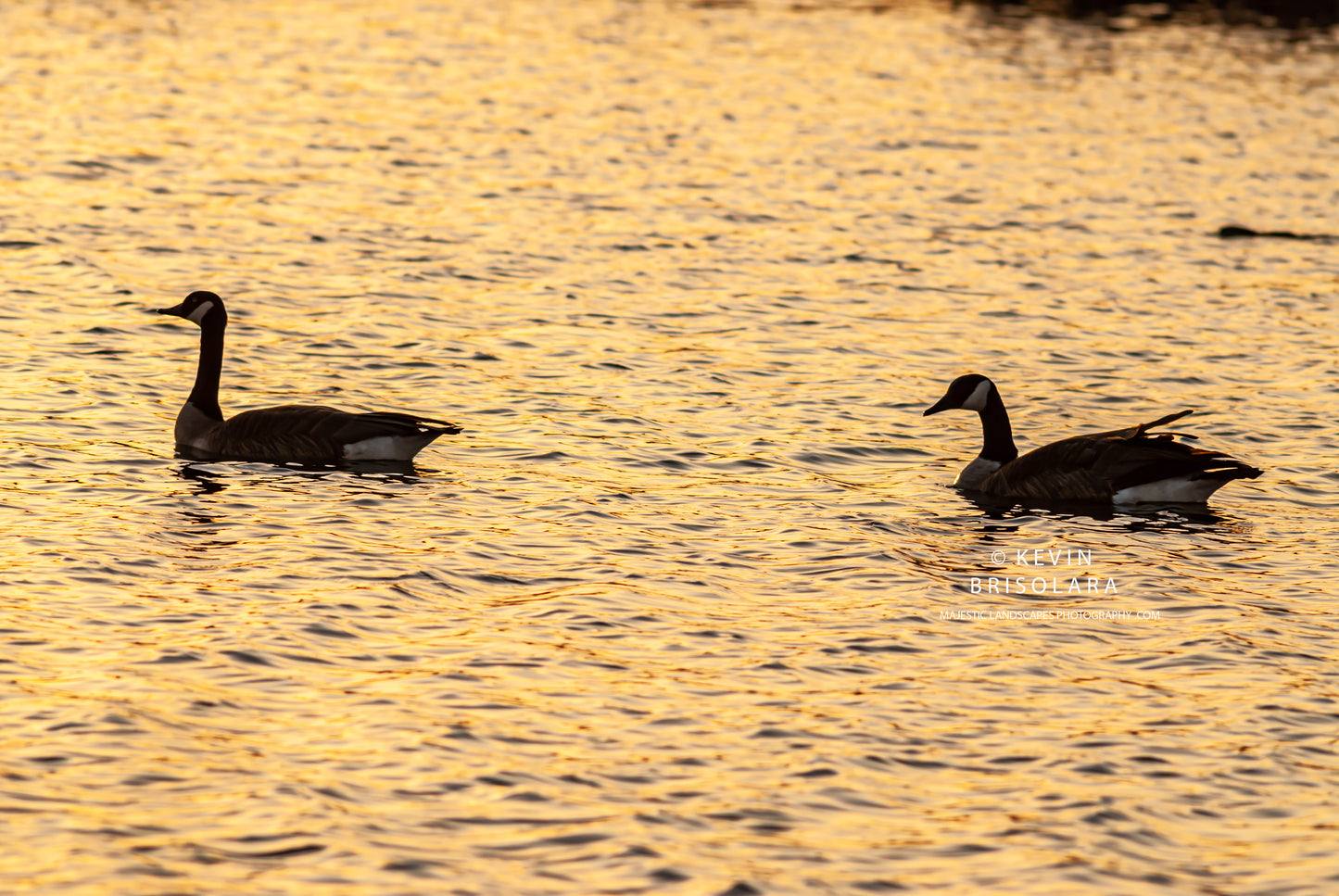 A GOLDEN MORNING ON THE LAKE