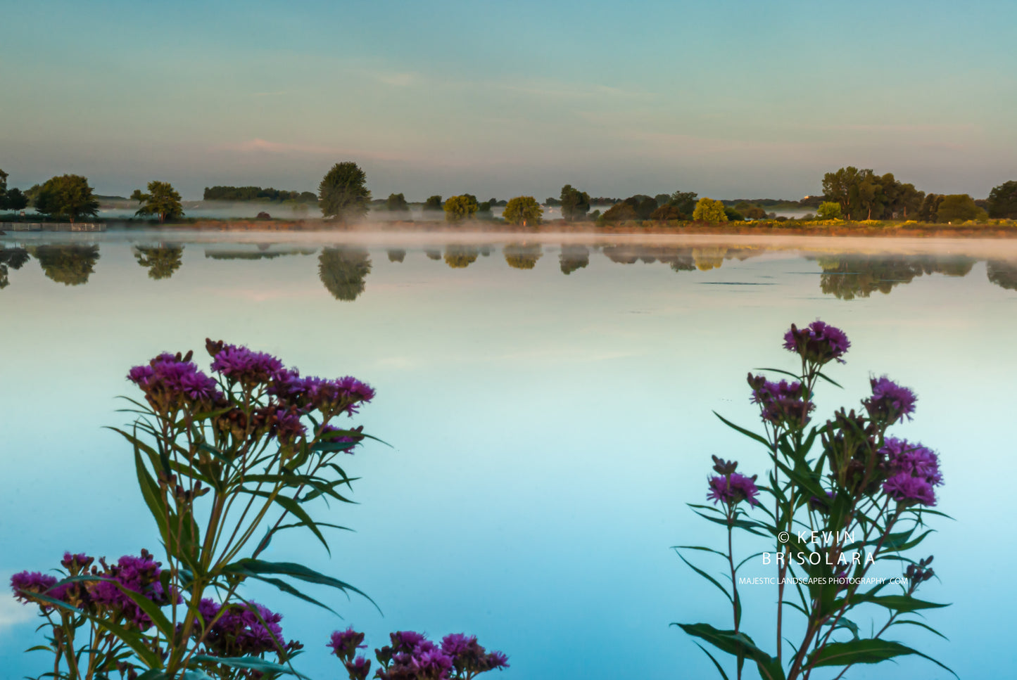 BEAUTIFUL MORNING REFLECTIONS