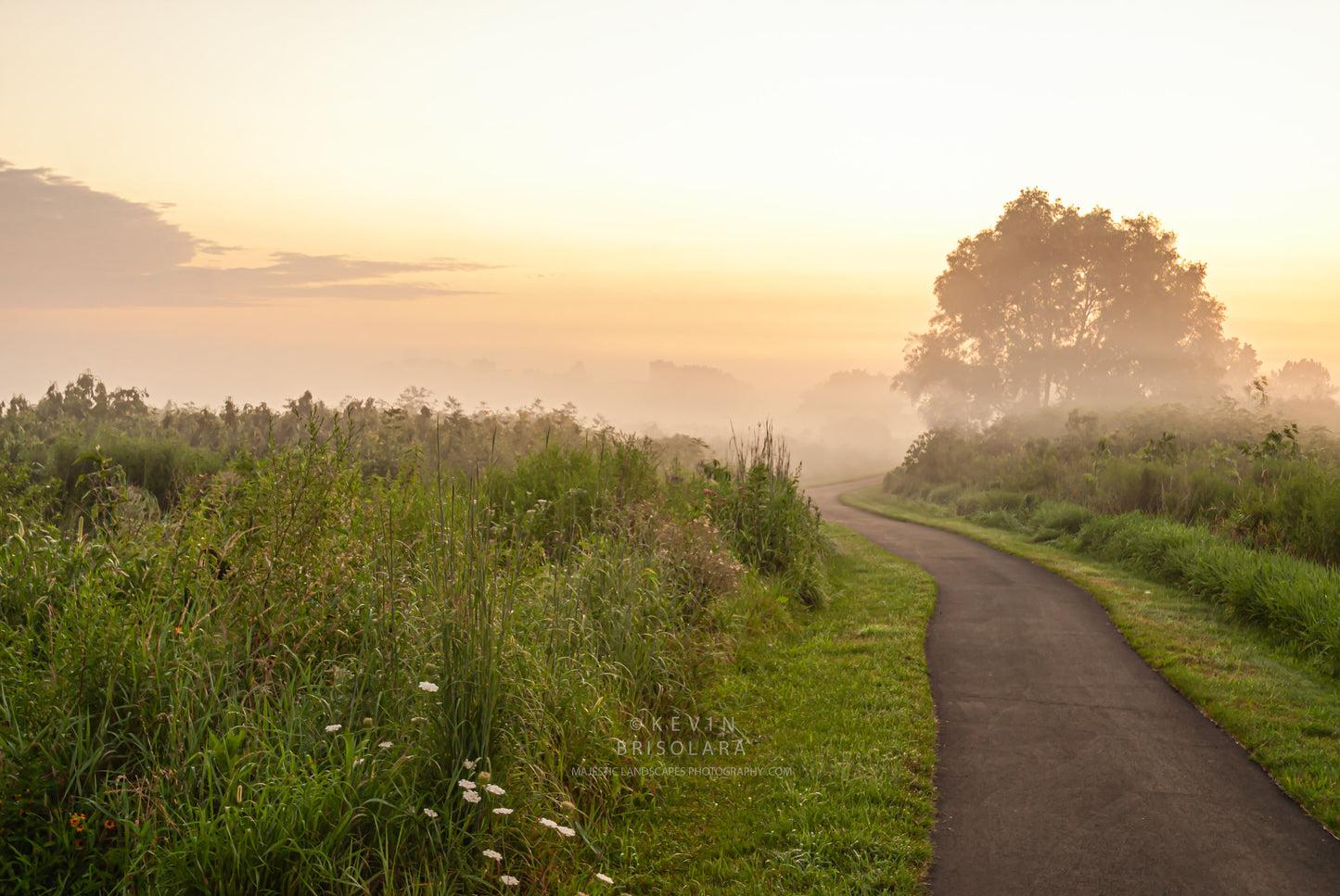 WALKING THE TRAILS DURING A MISTY SUMMER MORNING