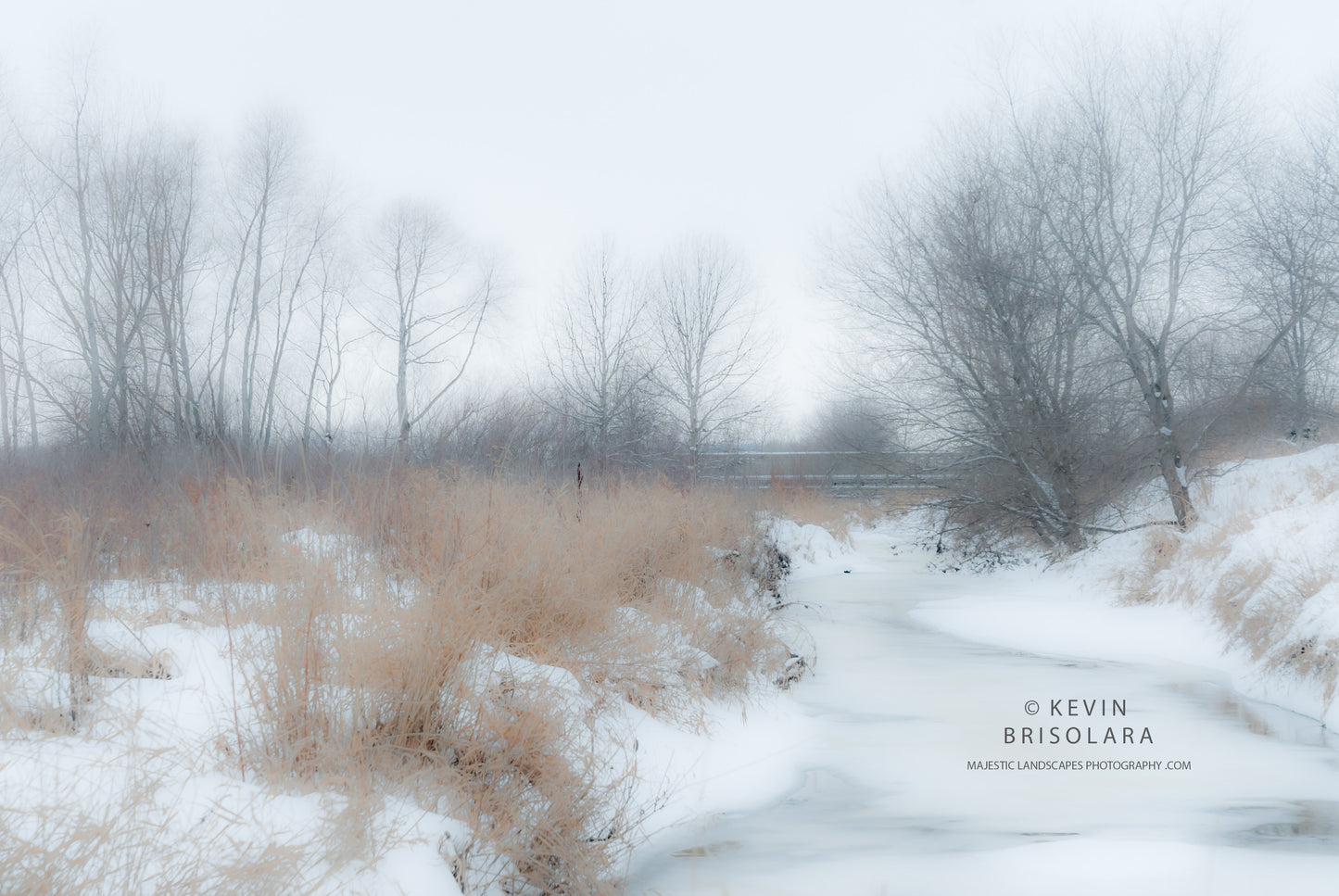 HOLIDAY GREETING CARDS 477-135 SNOW, PEACHLEAF WILLOW, COTTONWOOD, OAK, BOX ELDER, SOUTH FORK KISHWAUKEE RIVER