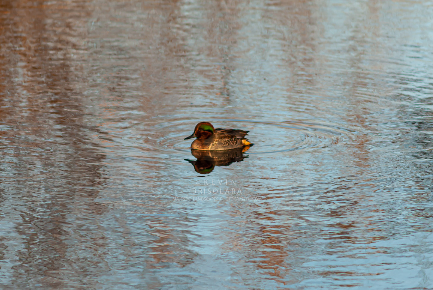 TAKING A MOMENT TO REST