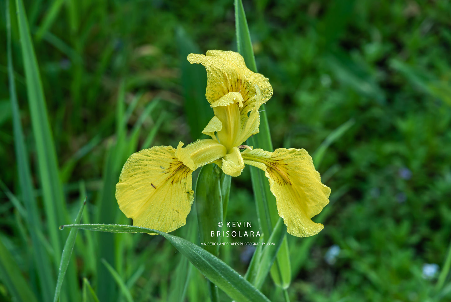 ENJOYING THE BEAUTY ALONG THE TRAIL