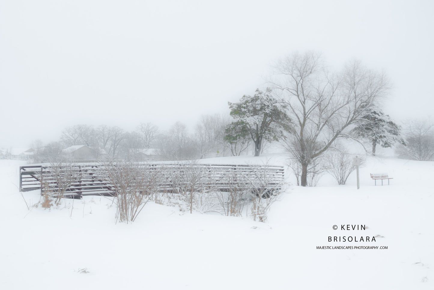 HOLIDAY GREETING CARDS 527-0003 BRIDGE, SNOW, PEACHLEAF WILLOW TREE, SOUTH FORK KISHWAUKEE RIVER