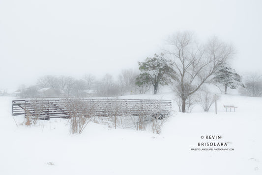 HOLIDAY GREETING CARDS 527-0003  BRIDGE, SNOW, PEACHLEAF WILLOW TREE, SOUTH FORK KISHWAUKEE RIVER