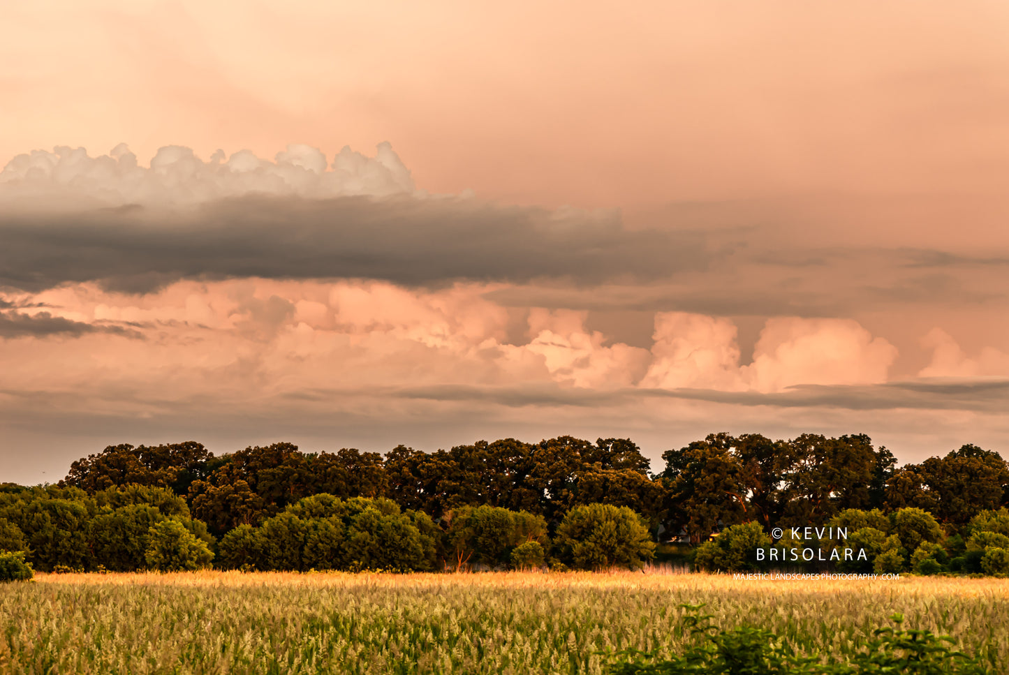 ILLUMINATING THE PRAIRIE LANDSCAPE