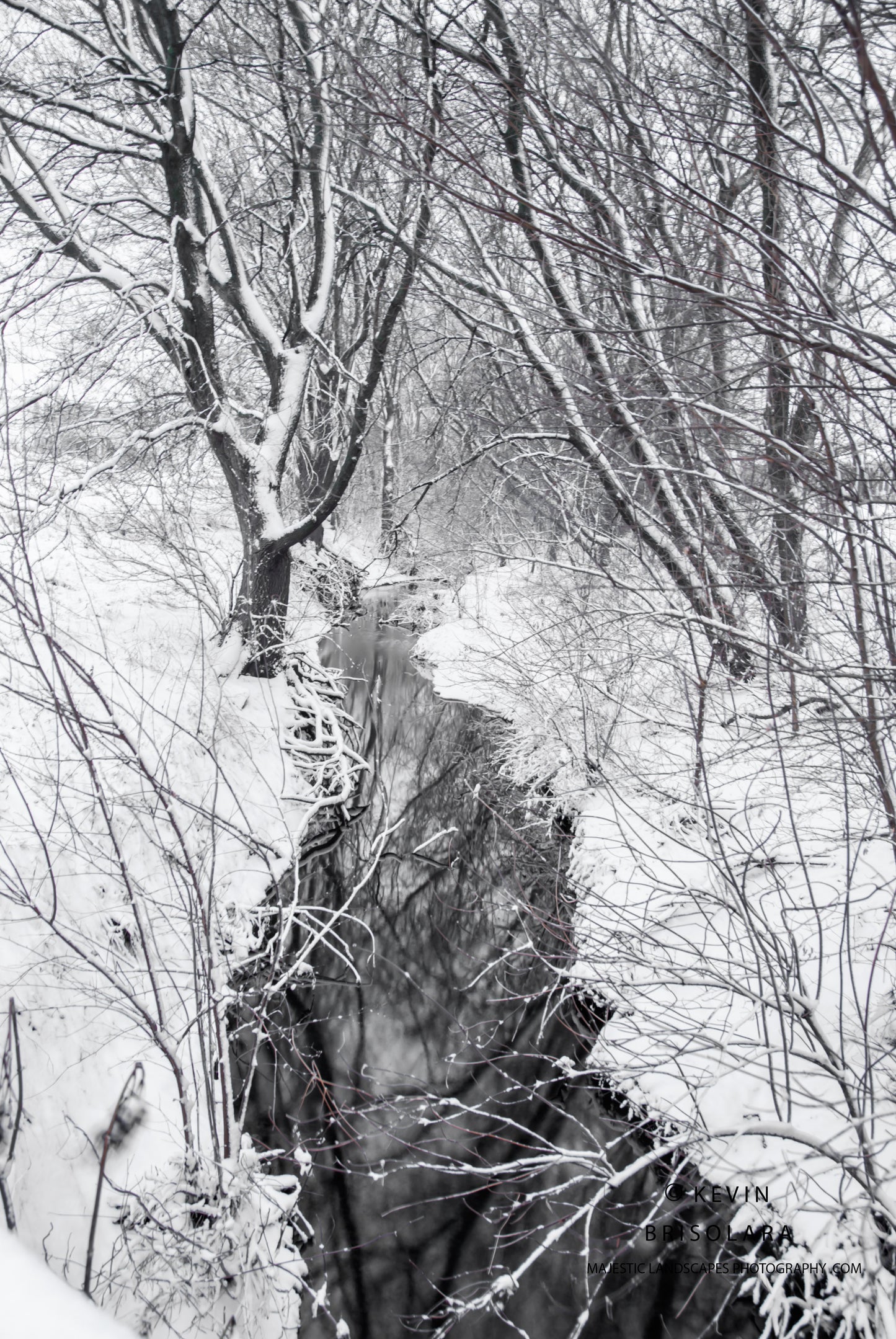 HOLIDAY GREETING CARDS 525-183 EAKIN CREEK WEST