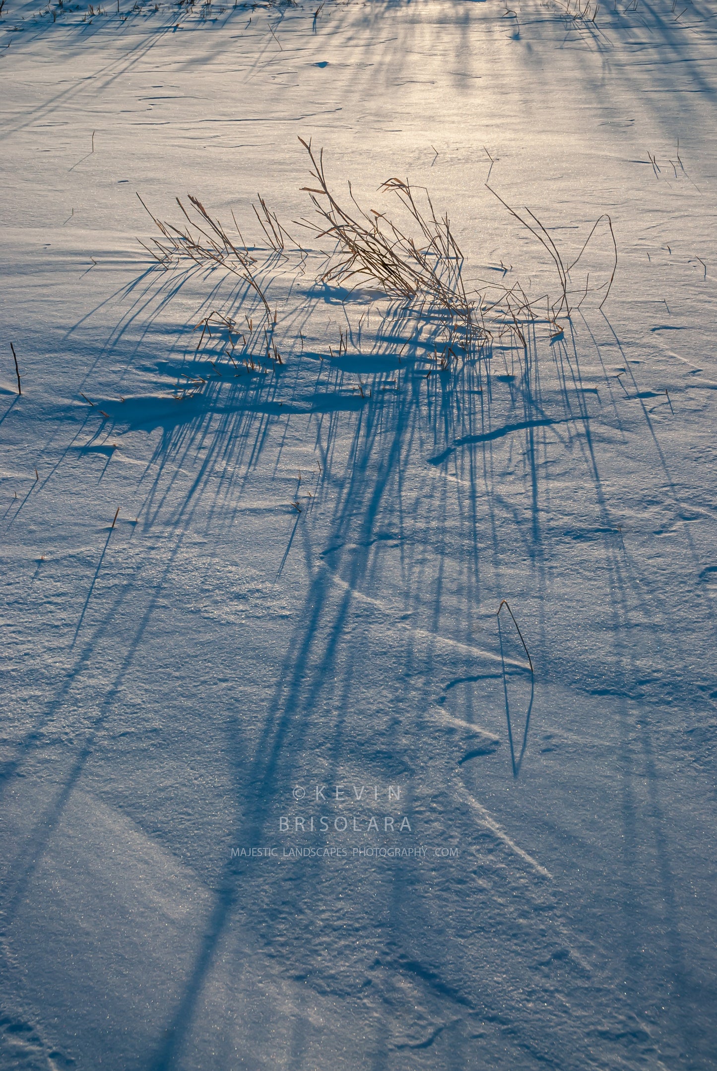 PRAIRIE SHADOWS FROM A WINTER LANDSCAPE