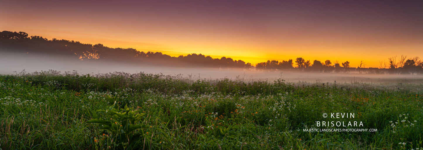 A SUMMER MORNING FROM THE PRAIRIE