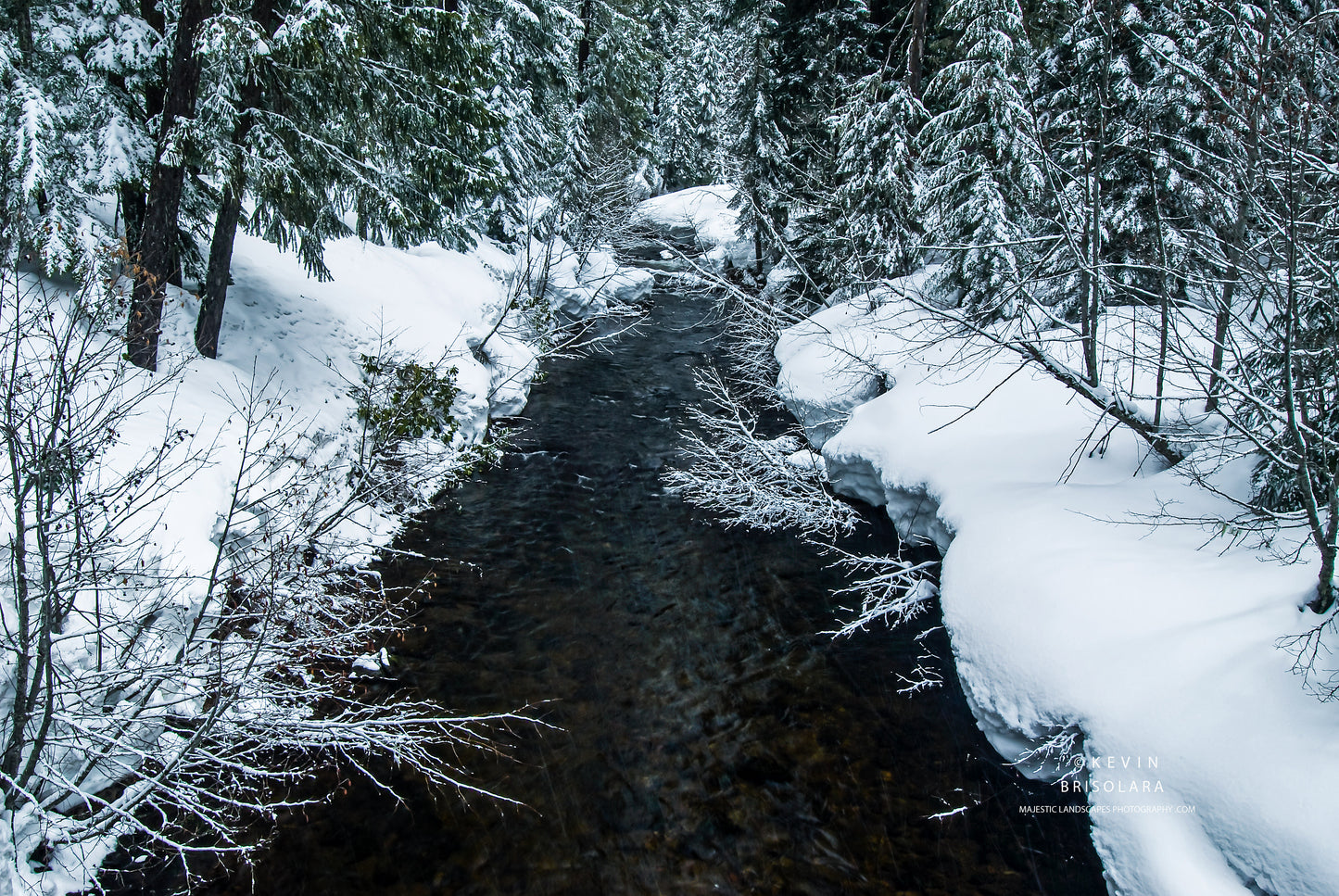 HOLIDAY GREETING CARDS 173-145 SALT CREEK