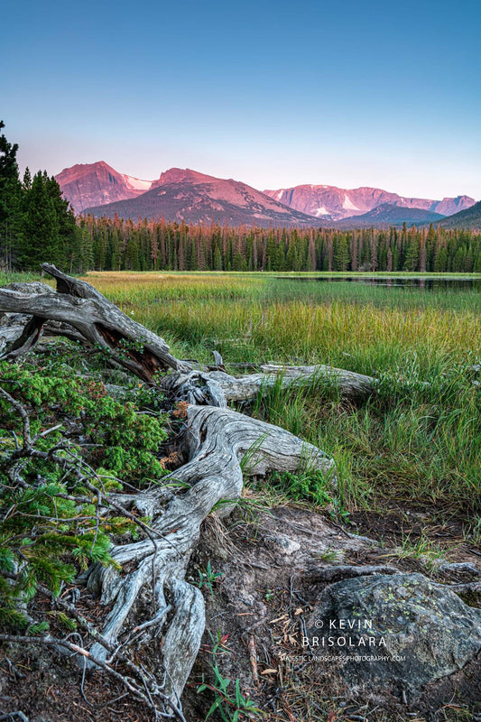 THE BEAUTY THAT SURROUNDS BIERSTADT LAKE