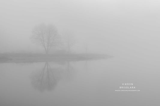 A MYSTERIOUS MORNING AT THE LAKE