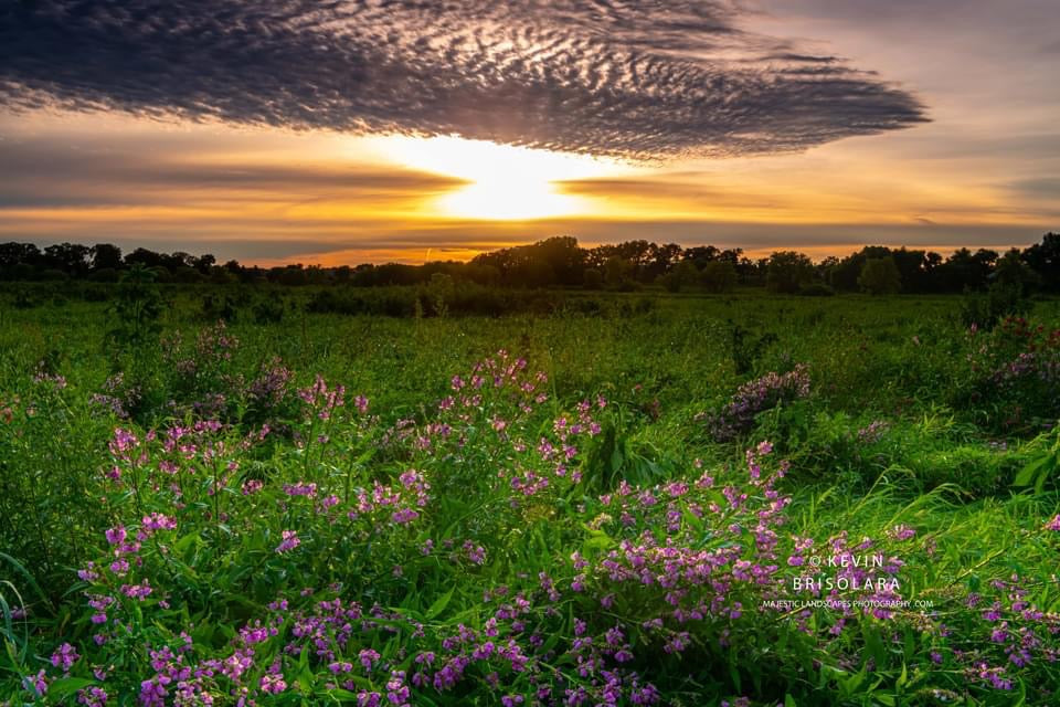 A PLEASANT PRAIRIE SUNSET