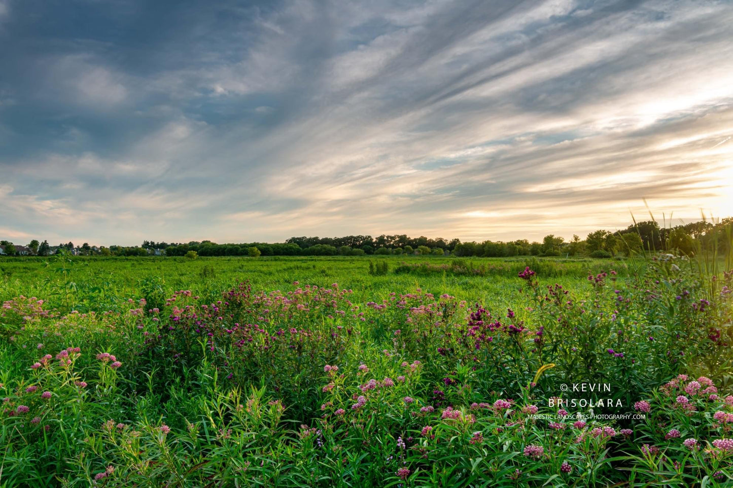 ENJOYING THE MOMENT FROM THE PRAIRIE