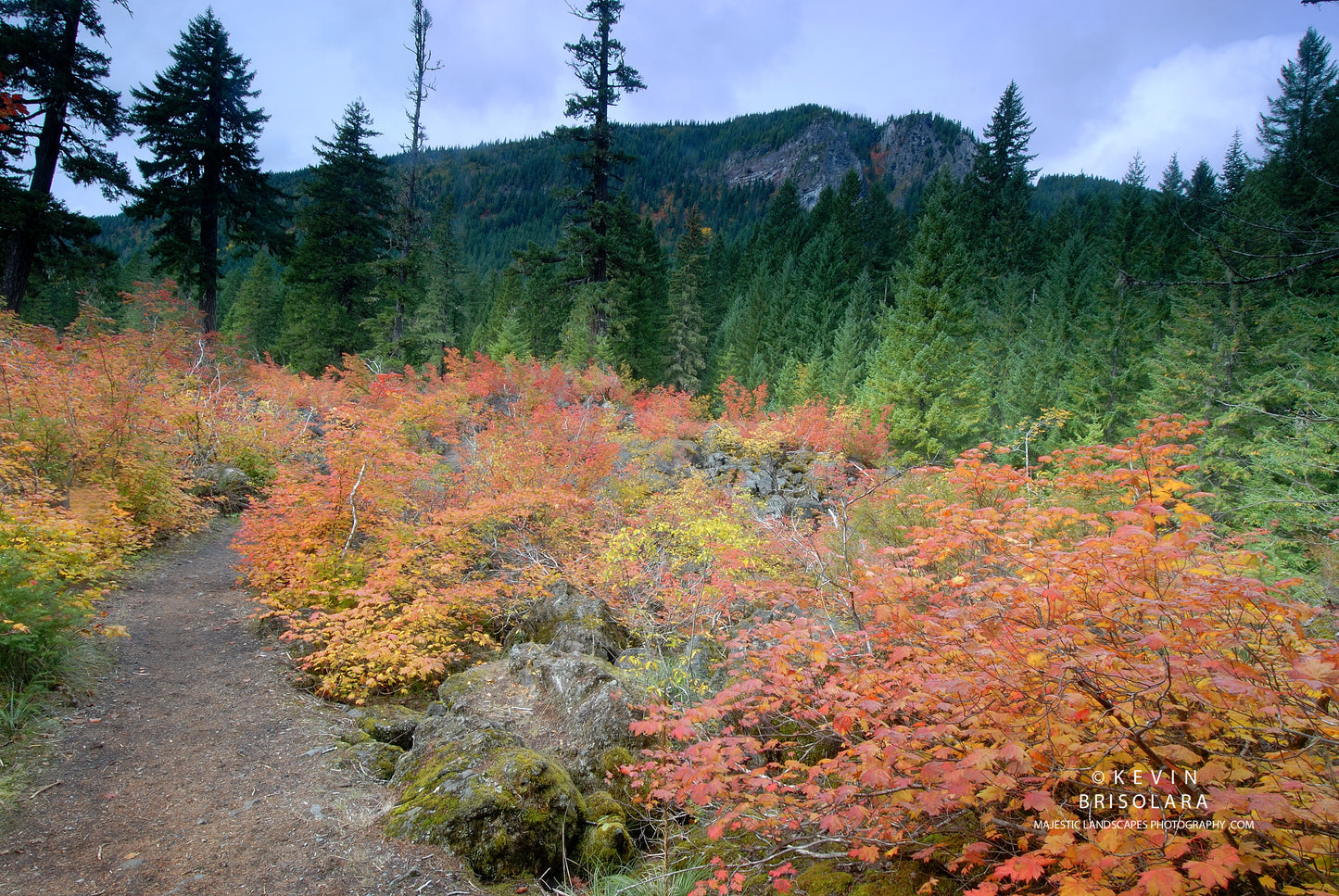 NOTE CARDS 163_219  DEER BUTTE