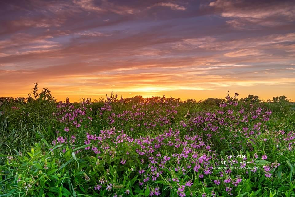 SUMMER SUNSET FROM THE PRAIRIE