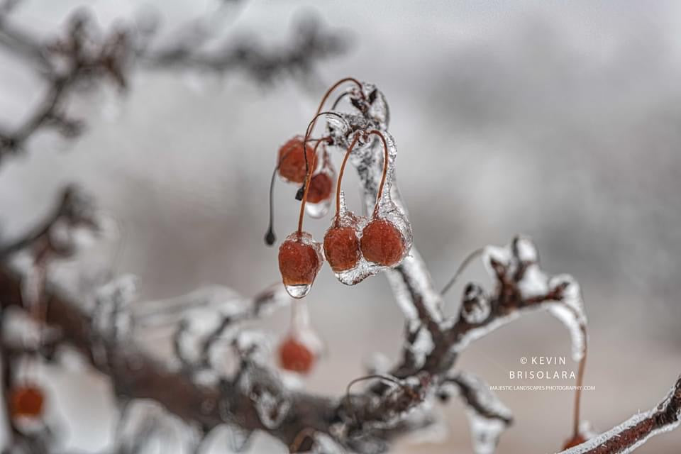 CAPTURING A FROZEN WORLD