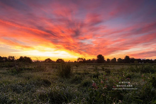 A MAGNIFICENT SUMMER SUNRISE FROM THE PRAIRIE