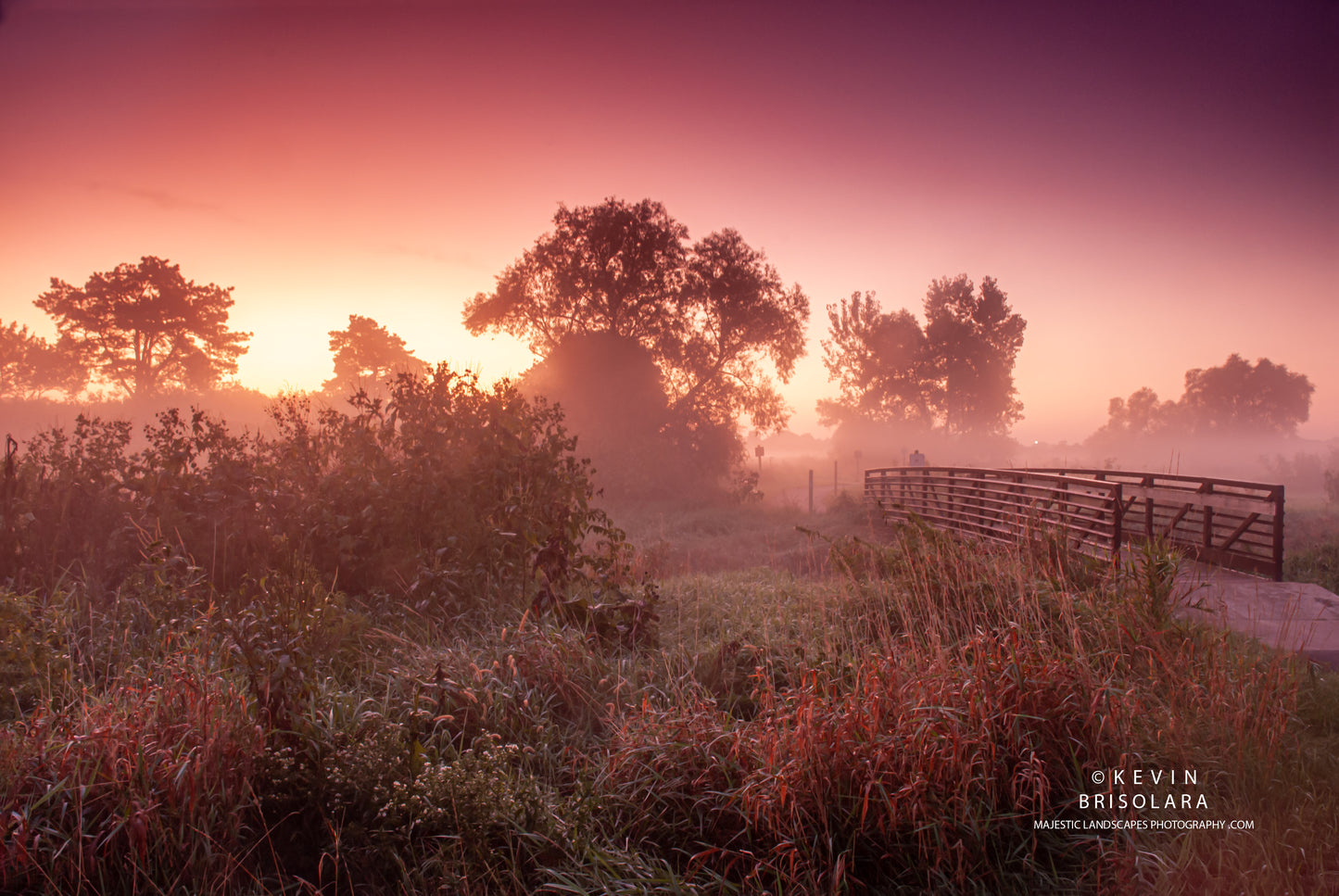 COLORFUL MORNING IN THE PARK