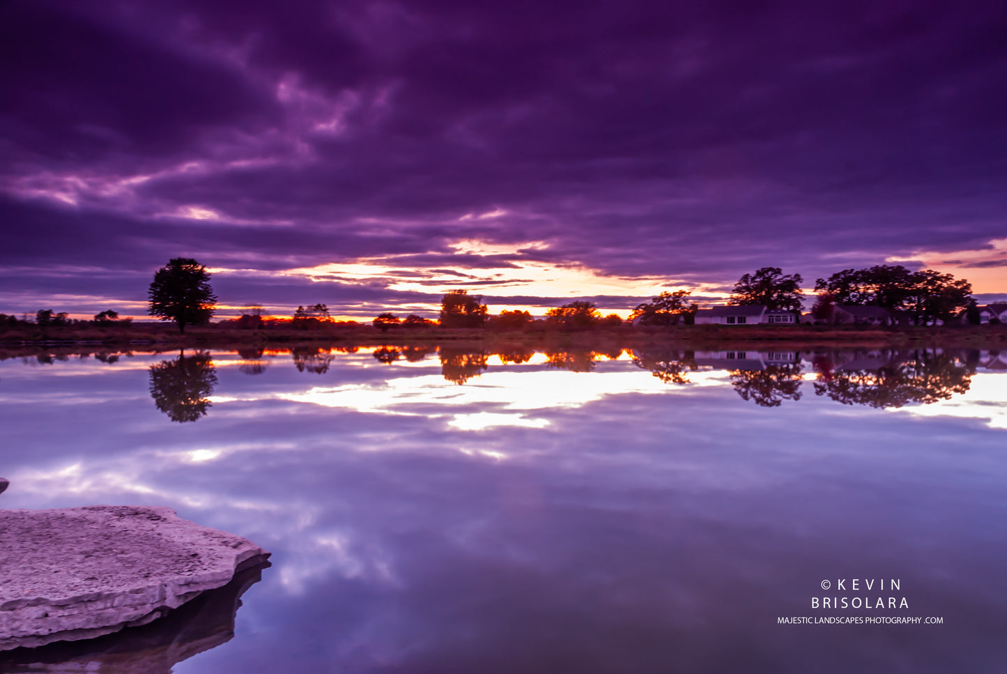 PURPLE BEAUTY