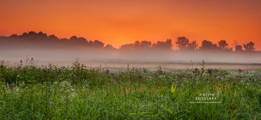 A BEAUTIFUL AND COLORFUL SUNRISE AT WILDFLOWER PARK