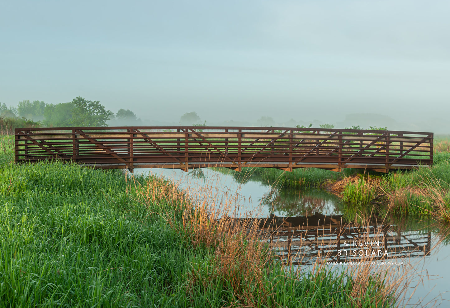 REFLECTIONS FROM A SPRING MORNING