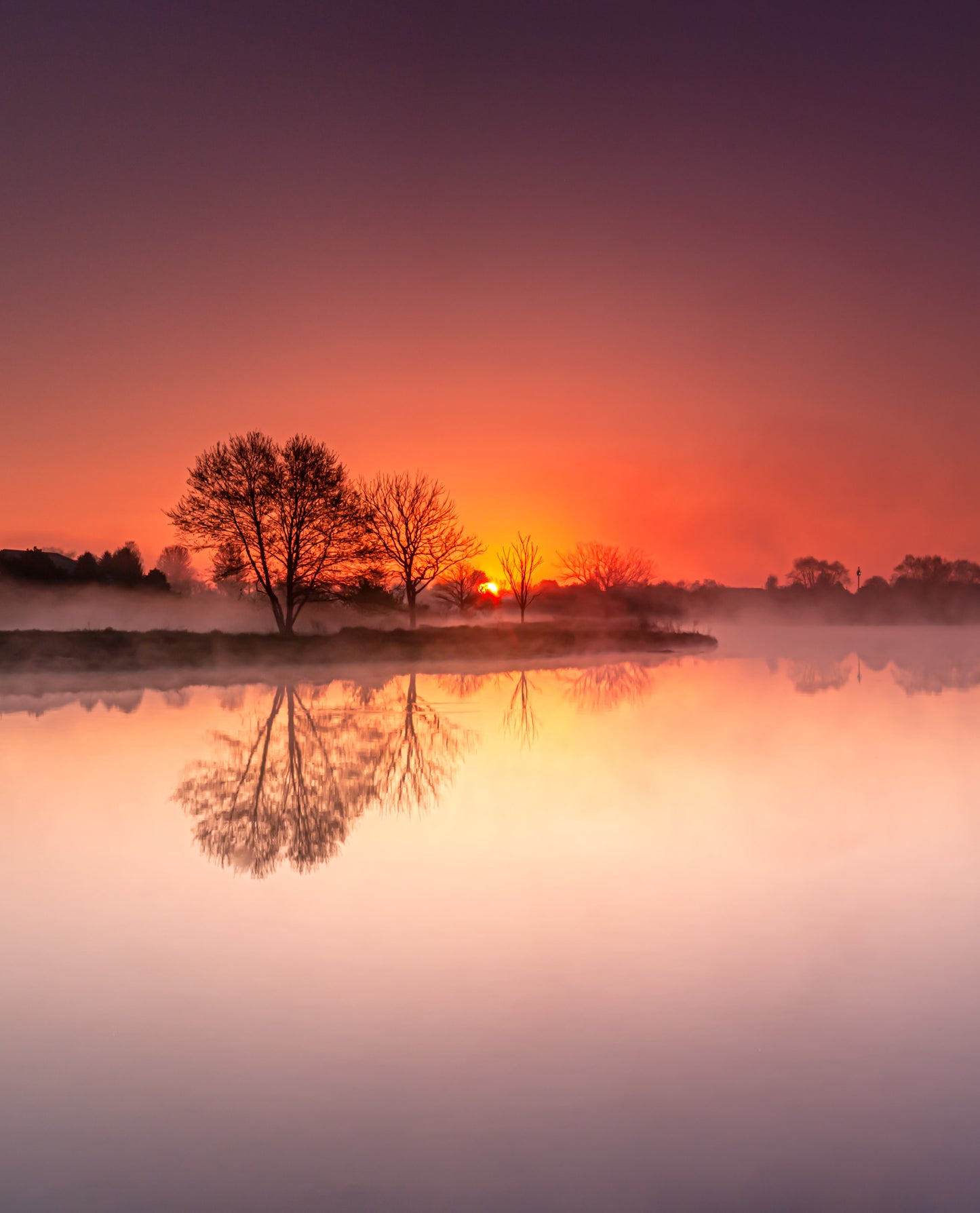 MAJESTIC MORNING SCENE FROM WILDFLOWER LAKE