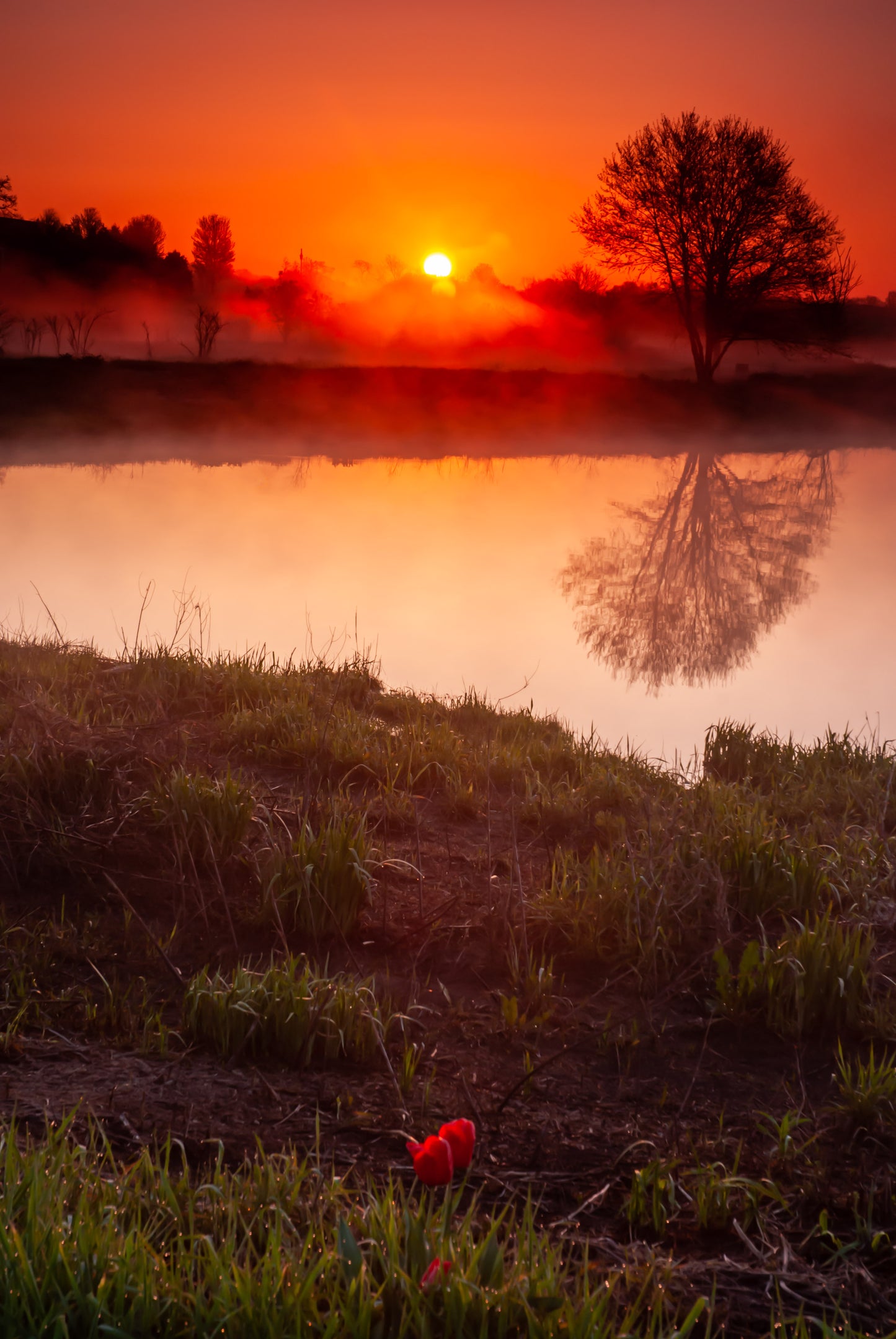 VIEWS OF A GORGEOUS SUNRISE
