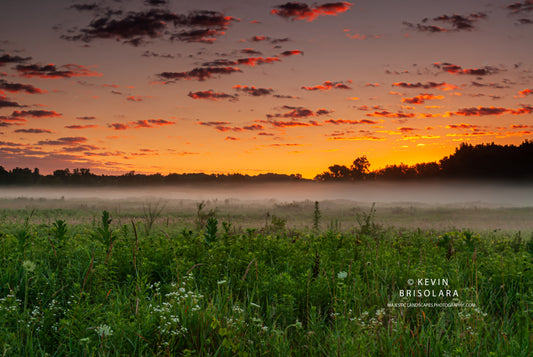 A COOL MISTY SUMMER SUNRISE FROM THE PRESERVE