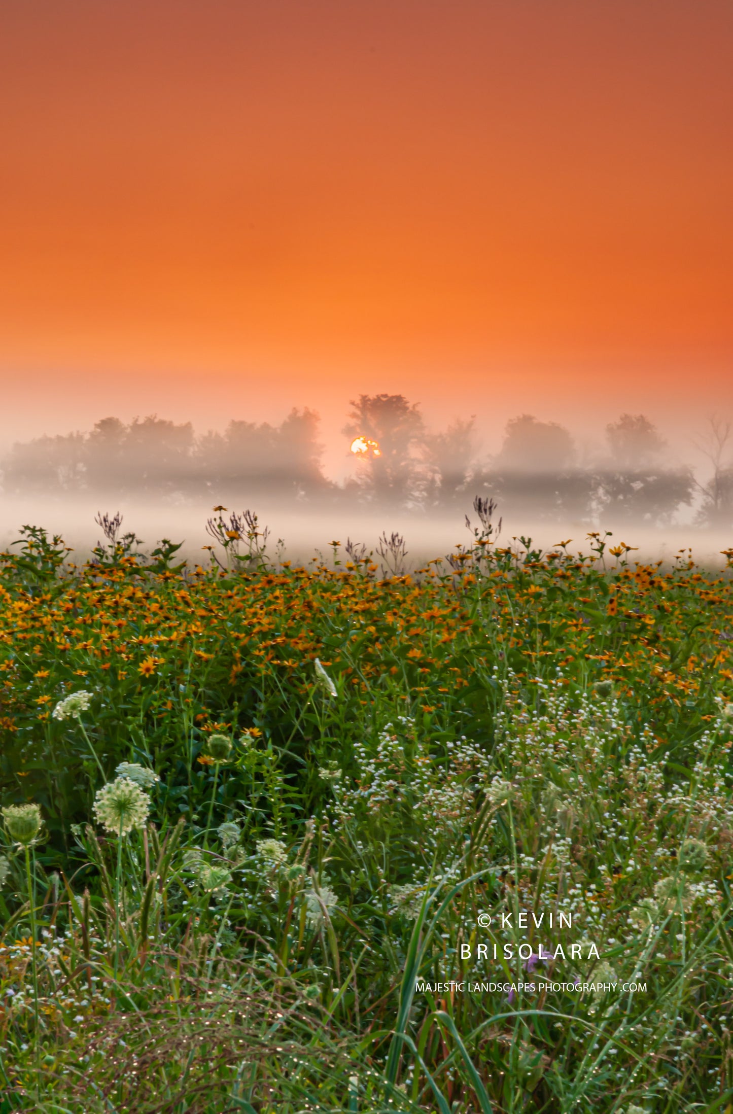 A BEAUTIFUL MORNING TO CATCH THE SUNRISE