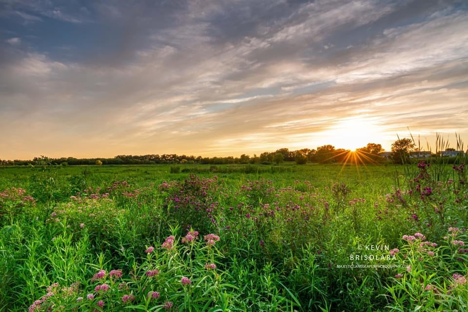 ANTICIPATING A BEAUTIFUL SUNSET