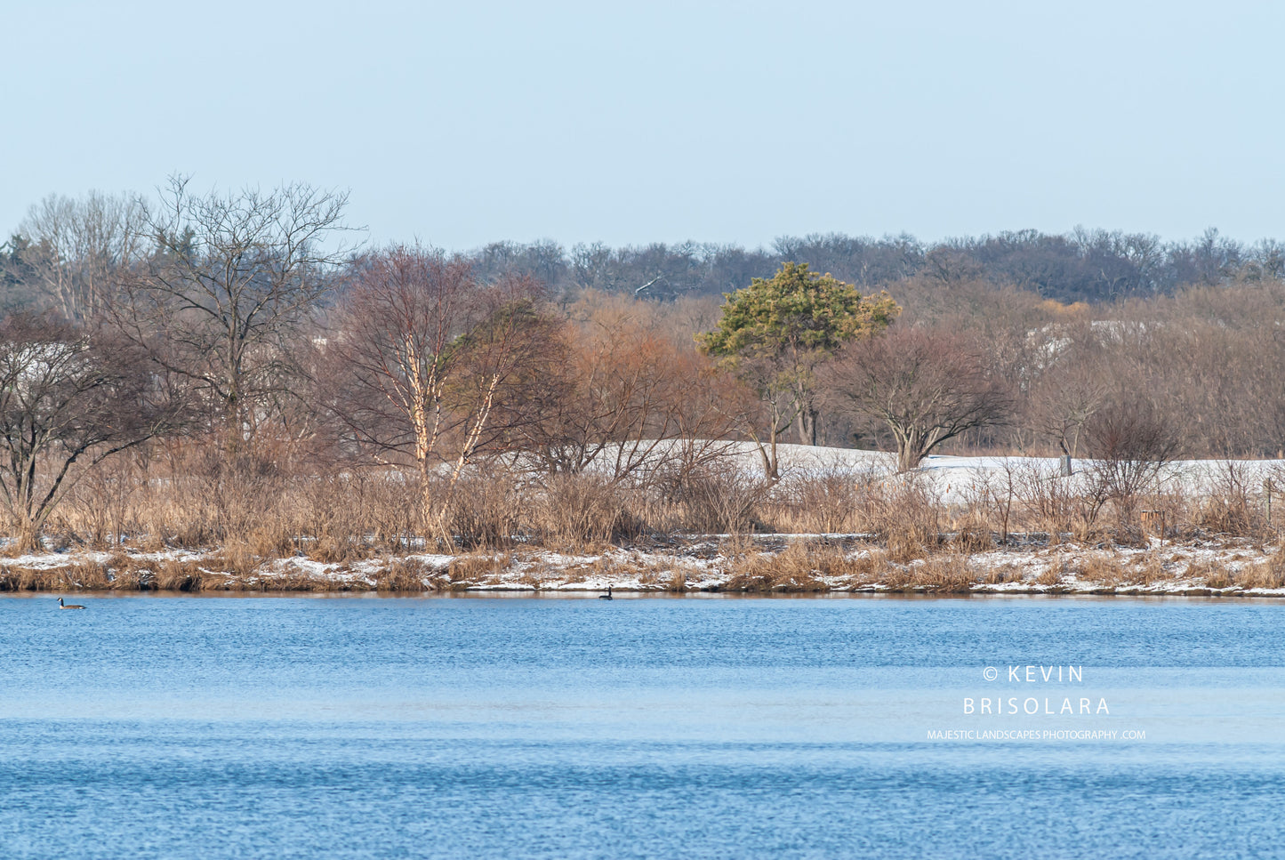 A BEAUTIFUL SPRING MORNING