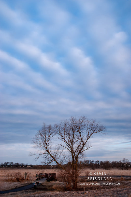 A BEAUTIFUL MORNING ON THE PRAIRIE