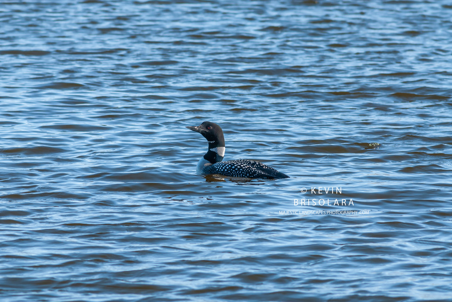 AN EARLY MORNING OUTING AT THE LAKE