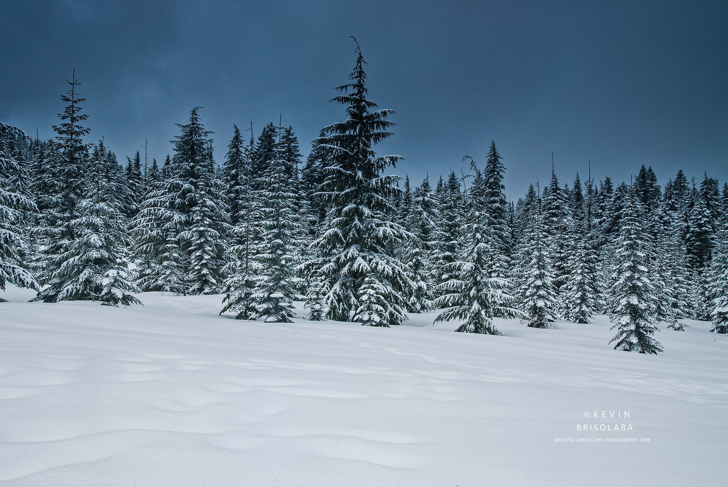 A BEAUTIFUL PERFORMANCE