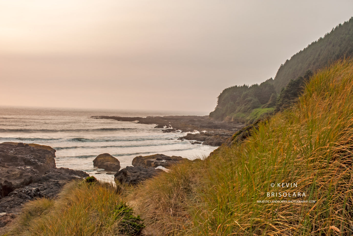 THE OREGON CENTRAL COAST
