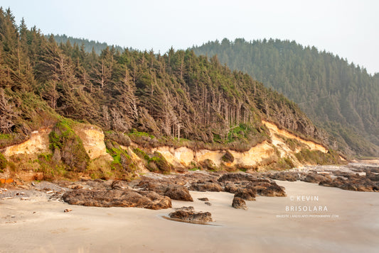 SANDY BEACHES AND SANDSTONE CLIFFS OF THE OREGON COAST
