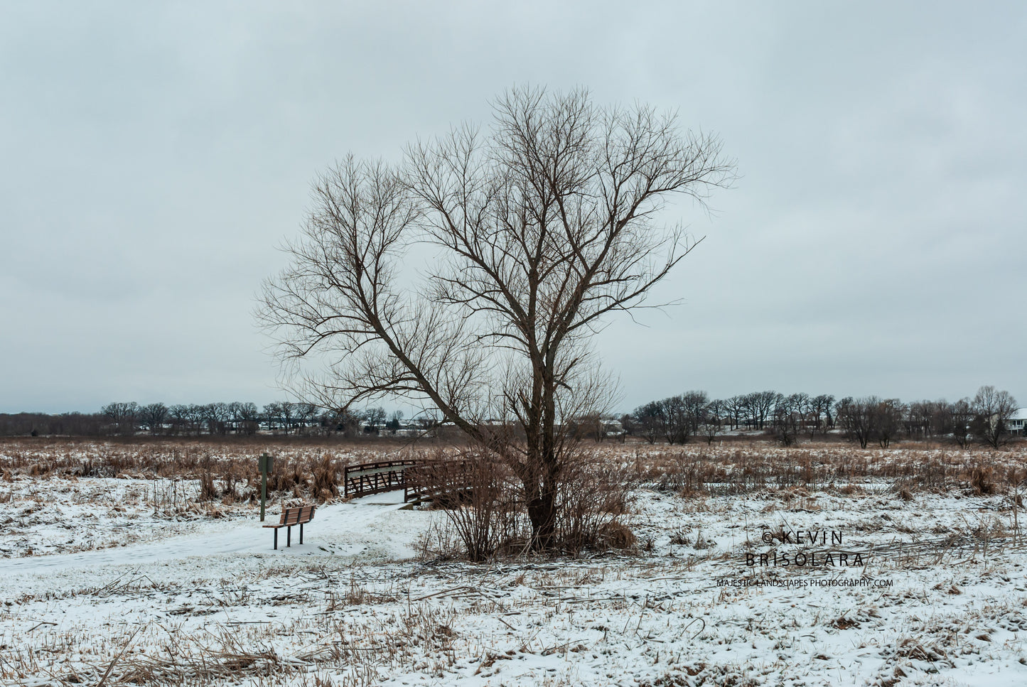 NOTE CARDS 474_20  SNOW, BRIDGE